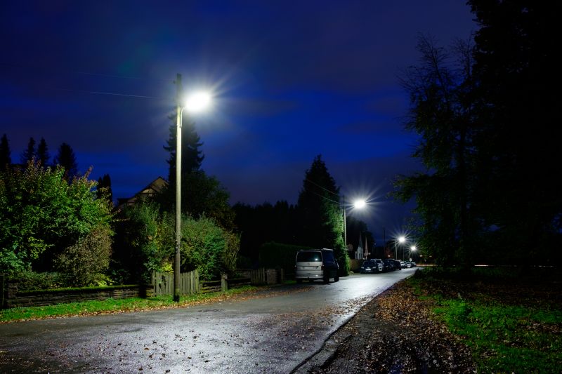 Driveway Lighting Installation in Denver County, CO