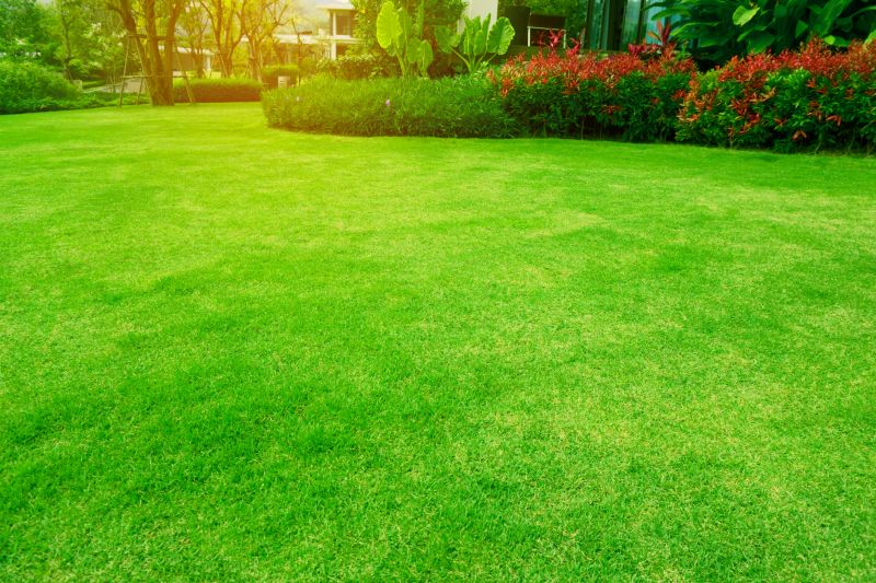 Vibrant Green Lawn